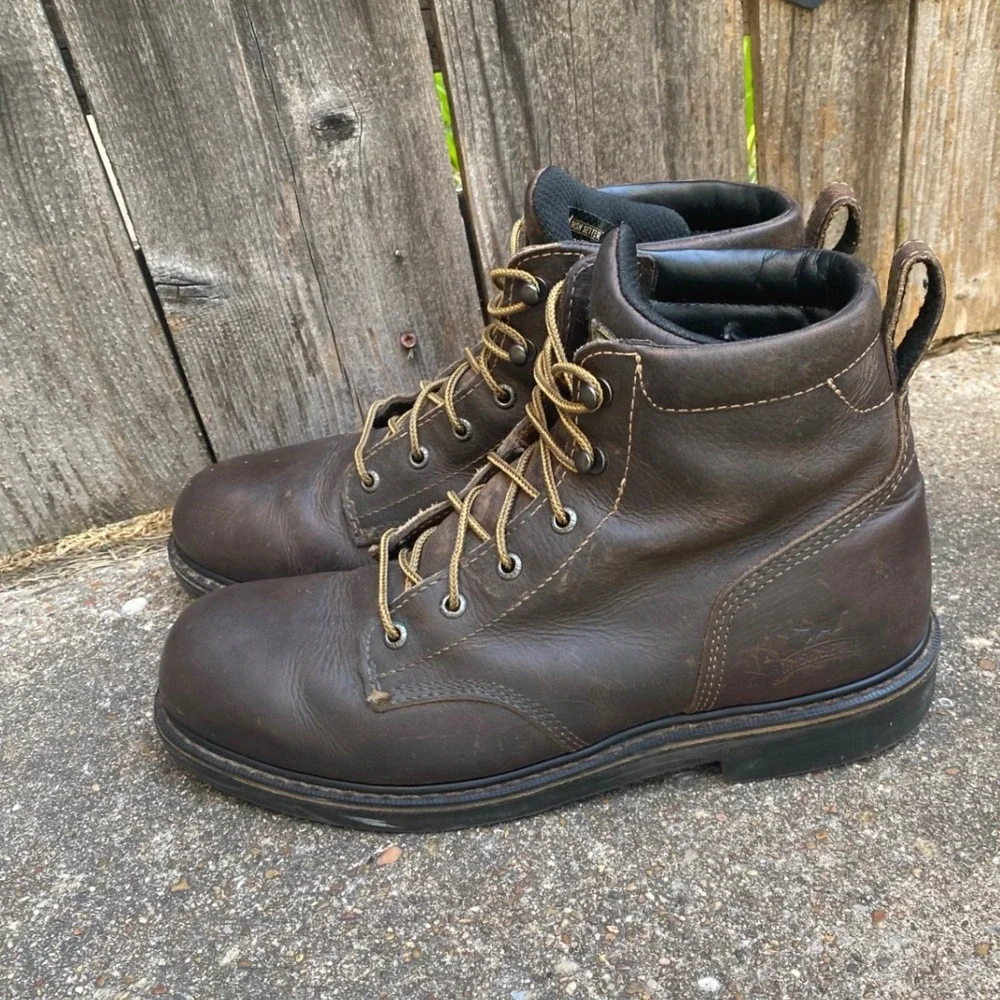 Irish Setter Farmington 6